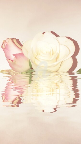 「Reflet blanc et ros…」というタイトルの写真撮影 Kasiopeaによって, オリジナルのアートワーク, デジタル