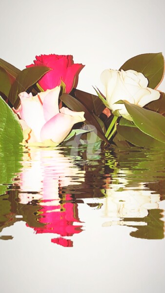 Fotografie getiteld "Reflet rose rouge e…" door Kasiopea, Origineel Kunstwerk, Digitale fotografie