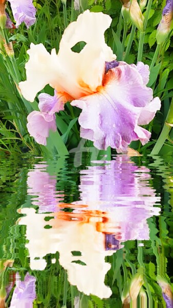 Фотография под названием "Le masque iris germ…" - Kasiopea, Подлинное произведение искусства, Цифровая фотография