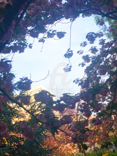 Fotografie getiteld "Visage du cerisier ©" door Kasiopea, Origineel Kunstwerk, Digitale fotografie