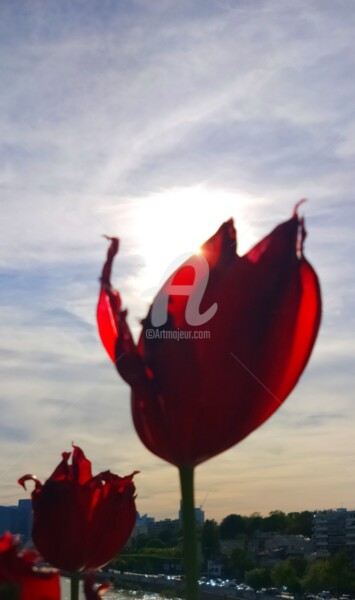 Fotografie getiteld "Tulipe visage du so…" door Kasiopea, Origineel Kunstwerk, Digitale fotografie