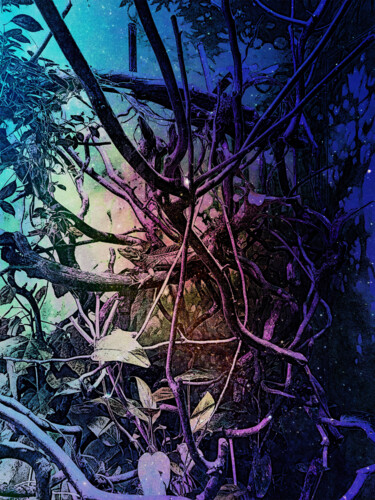 Arte digital titulada "micro forest with l…" por Katherine Lee, Obra de arte original, Trabajo Digital 2D