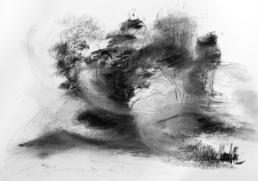 Рисунок под названием "sylvestris-7a.jpg" - Katia Duterde, Подлинное произведение искусства, Древесный уголь