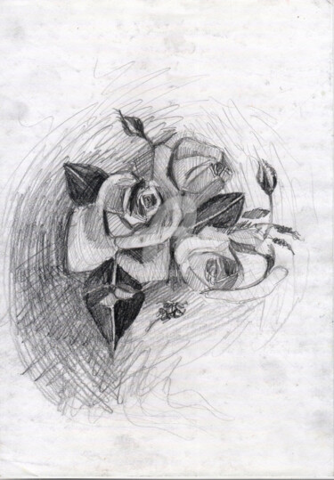 Digitale Kunst mit dem Titel "Rose" von Katwrina Golban, Original-Kunstwerk, Bleistift