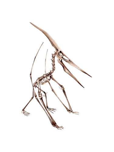 Malerei mit dem Titel "Pteranodon" von Katya Shiova, Original-Kunstwerk, Aquarell