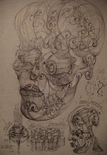 Drawing titled "25-human-craniu-och…" by Gabriel Kelemen, Original Artwork