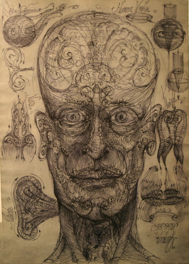 Drawing titled "Human face vortex" by Gabriel Kelemen, Original Artwork, Ink