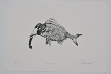 Prenten & gravures getiteld "Elephant,Fish" door Kelvin Chap, Origineel Kunstwerk, Zeefdruk