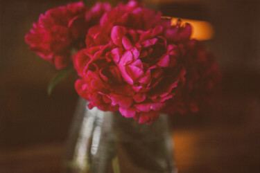 "Pink Peony II" başlıklı Fotoğraf Ken Gehring tarafından, Orijinal sanat, Dijital Fotoğrafçılık