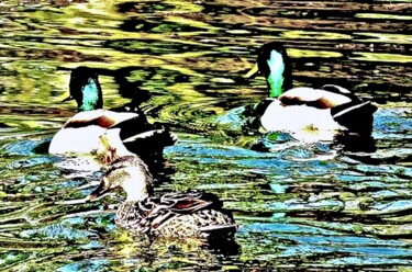 Fotografia intitulada "Central Park Ducks…" por Ken Lerner, Obras de arte originais, Fotografia digital