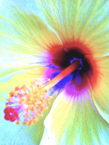 Photography titled "Hibiscus 5a" by Ken Lerner, Original Artwork, Digital Photography