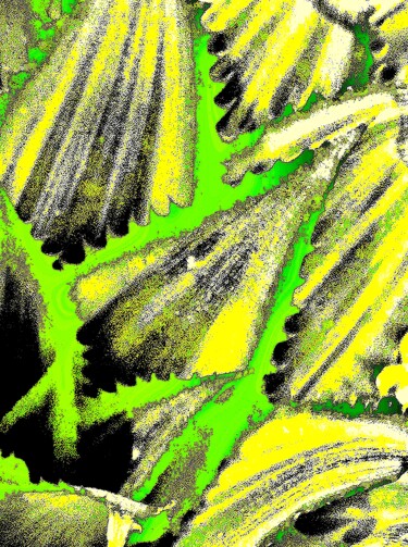 Photographie intitulée "Cactus Leaves 1b" par Ken Lerner, Œuvre d'art originale, Photographie numérique