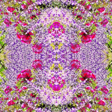 Фотография под названием "Wildflowers 1e4 [li…" - Ken Lerner, Подлинное произведение искусства, Цифровая фотография
