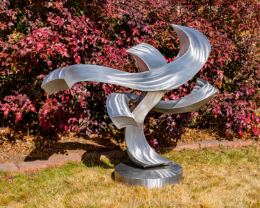 Sculpture intitulée "Chasing the Wind" par Kevin Robb, Œuvre d'art originale, Acier inoxydable