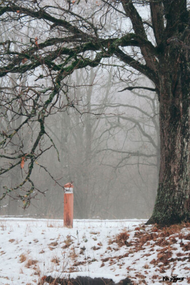 Fotografia zatytułowany „Misty  Landscape” autorstwa Kh_yaguar, Oryginalna praca, Fotografia filmowa