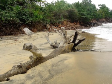 Photography titled "plage au Cameroun" by Christine Pons, Original Artwork