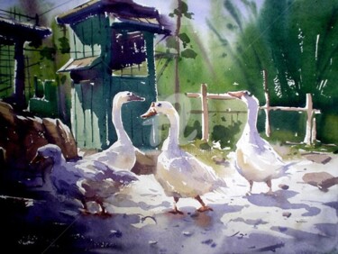 Painting titled "Duck" by Kishore Singh, Original Artwork