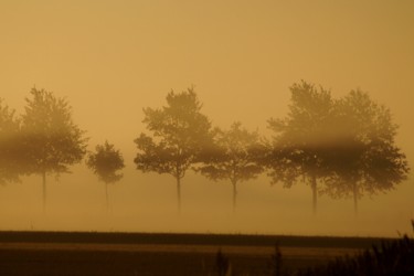 Фотография под названием "foggy landscape wit…" - Klaus Vartzbed, Подлинное произведение искусства