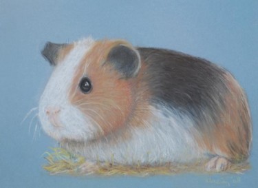 Rysunek zatytułowany „Guinea Pig” autorstwa Klazien De Vries, Oryginalna praca