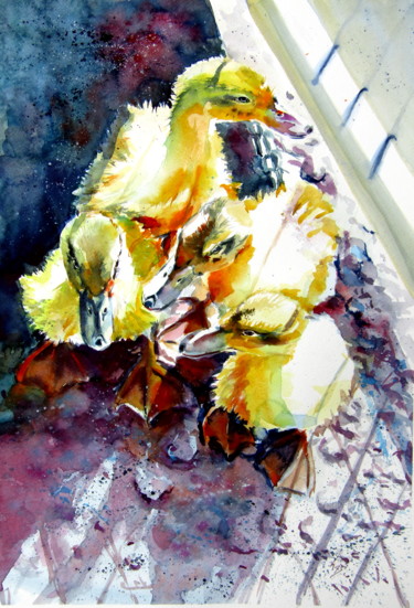 Pintura intitulada "Gosling" por Anna Brigitta Kovacs (KAB), Obras de arte originais, Aquarela