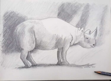 Σχέδιο με τίτλο "Rhinoceros" από Krystian, Αυθεντικά έργα τέχνης, Μολύβι