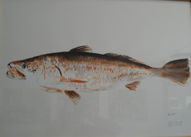 Peinture intitulée "17-grands-poissons-…" par Gustave Lafond / Stavio, Œuvre d'art originale