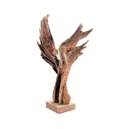 Sculpture titled "NIKA. Wood abstract…" by Lara Shabelnik, Original Artwork, Wood