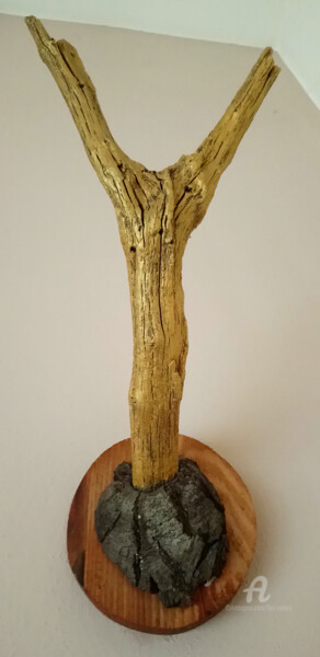 Sculptuur getiteld "Goldgeweih" door Lari Peters, Origineel Kunstwerk, Hout