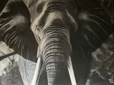 Drawing titled "Éléphant" by Laura B., Original Artwork, Conté