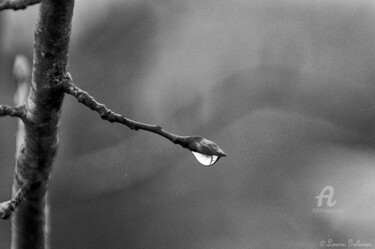 Photographie intitulée "Après la pluie 8" par Laura Dieutegard, Œuvre d'art originale