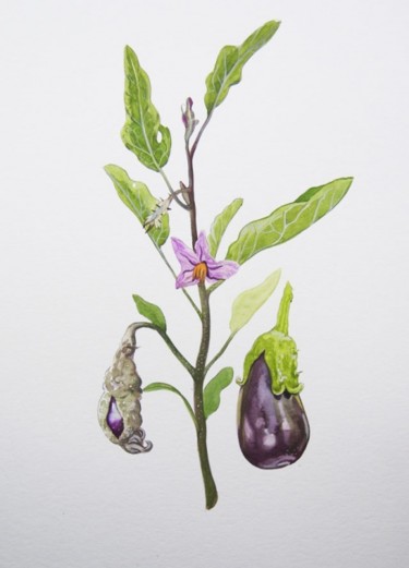 Peinture intitulée "planche d'aubergine" par Laure Boin Watorek, Œuvre d'art originale
