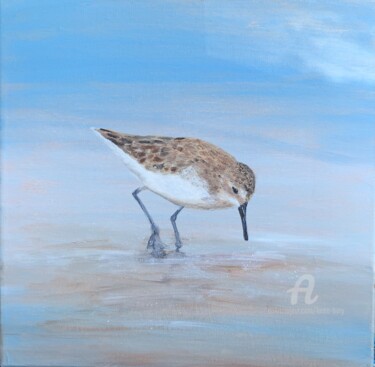 Painting titled "Young Sandpiper At…" by Laure Bury, Original Artwork, Oil Mounted on Wood Stretcher frame