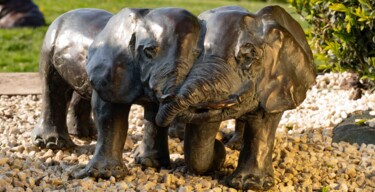 Scultura intitolato "Les éléphants" da Laurence Friche, Opera d'arte originale, Bronzo