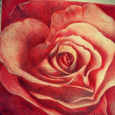 Disegno intitolato "Love rose" da Laurence Keriguy, Opera d'arte originale, Matita