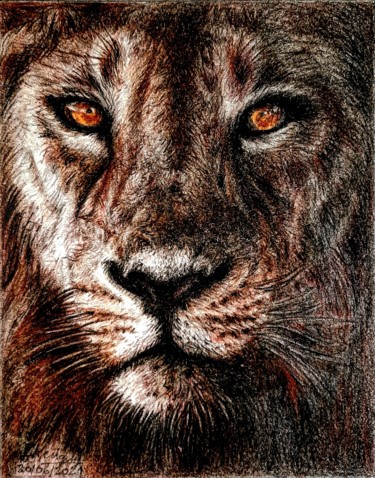 Rysunek zatytułowany „Lion” autorstwa Laurence Keriguy, Oryginalna praca, Ołówek