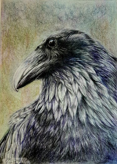 Dessin intitulée "Corbeau" par Laurence Keriguy, Œuvre d'art originale, Crayon