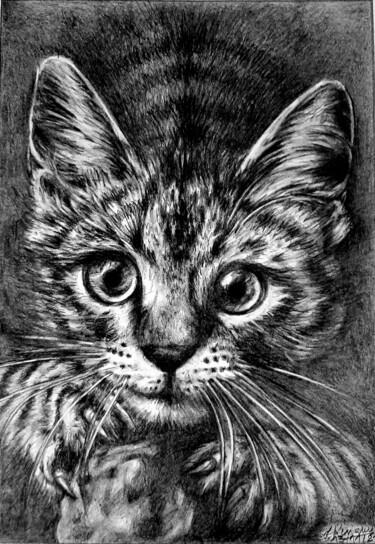 Rysunek zatytułowany „Les griffes du chat” autorstwa Laurence Keriguy, Oryginalna praca, Ołówek