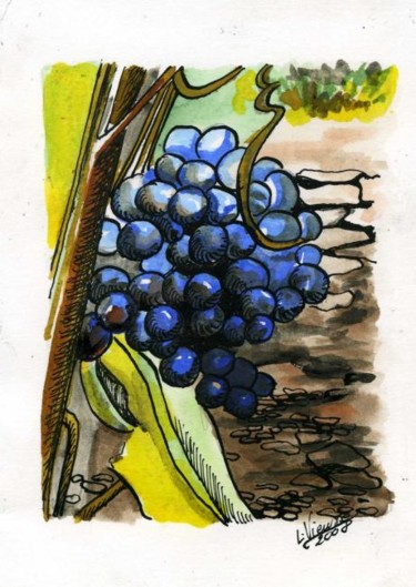 Drawing titled "grappe de raisin" by Laure Vieusse, Original Artwork