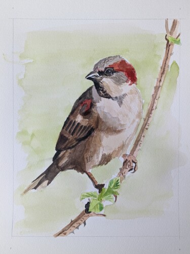 Schilderij getiteld "The Sparrow" door Lee Davison, Origineel Kunstwerk, Aquarel