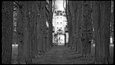 Фотография под названием "Der Schlosspark" - Leopold Brix, Подлинное произведение искусства, Цифровая фотография