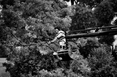 "Baumschnitt" başlıklı Fotoğraf Leopold Brix tarafından, Orijinal sanat, Dijital Fotoğrafçılık