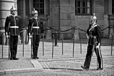 Photographie intitulée "Die Schlosswache" par Leopold Brix, Œuvre d'art originale, Photographie numérique