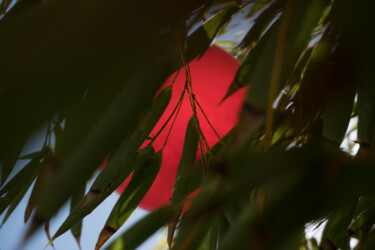 Photographie intitulée ""The first balloon…" par Liliia Kucher, Œuvre d'art originale, Photographie numérique
