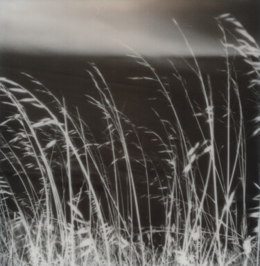 Fotografia zatytułowany „Sea #9” autorstwa Liliia Kucher, Oryginalna praca, Fotografia filmowa