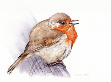 Zeichnungen mit dem Titel "Robin" von Lilla Varhelyi, Original-Kunstwerk, Tinte