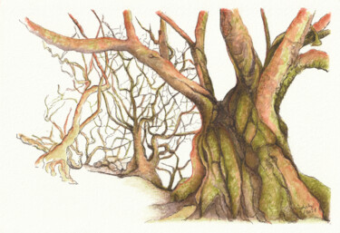 Zeichnungen mit dem Titel "Baumstudie 27( Fant…" von Lilla Varhelyi, Original-Kunstwerk, Tinte