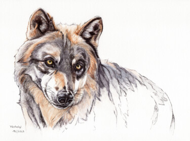 Dessin intitulée "Wolf 4" par Lilla Varhelyi, Œuvre d'art originale, Encre