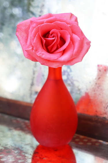 Fotografía titulada "Balzac Rose" por Lindy Powers, Obra de arte original, Fotografía digital