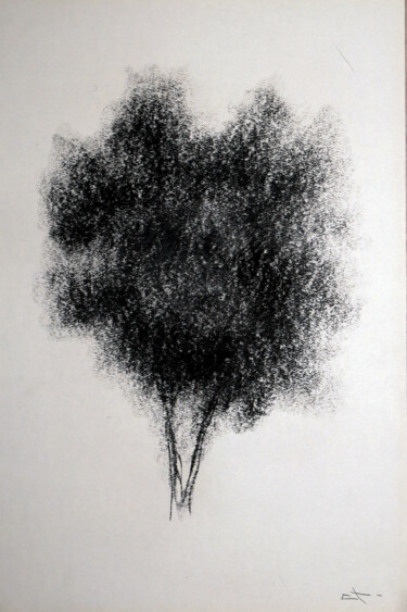 Drawing titled "Arbre 1" by Lionel Le Jeune, Original Artwork, Charcoal