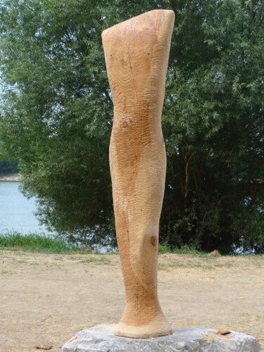 Scultura intitolato "The androgynous" da Liquette-Gorbach, Opera d'arte originale, Legno